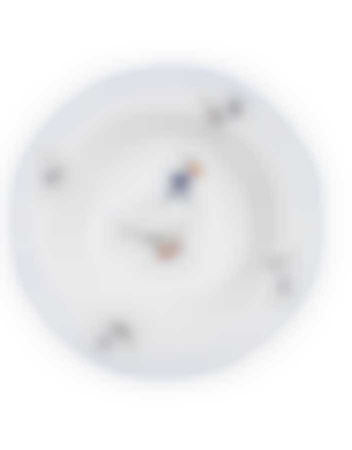 Тарелка глубокая 23 см; "Bernadotte", декор "Гуси"