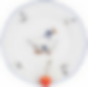 Тарелка мелкая 21 см; "Bernadotte", декор "Гуси"