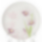 Тарелка столовая мелкая Luminarc Dream Grasse, D=25 см