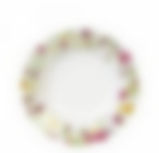 Тарелка суповая MEADOW 24см