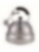 Чайник для кипячения воды CYPRESS 4,5л со свистком,GIPFEL