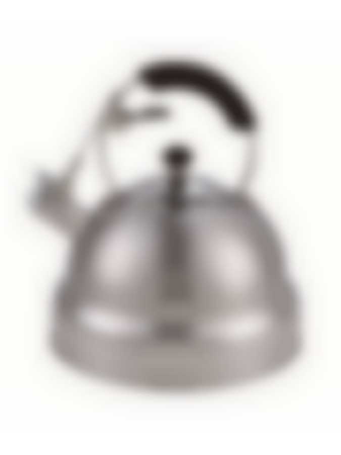 Чайник для кипячения воды CYPRESS 4,5л со свистком,GIPFEL