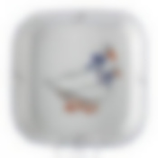 Салатник "ГУСИ" 24*24 см