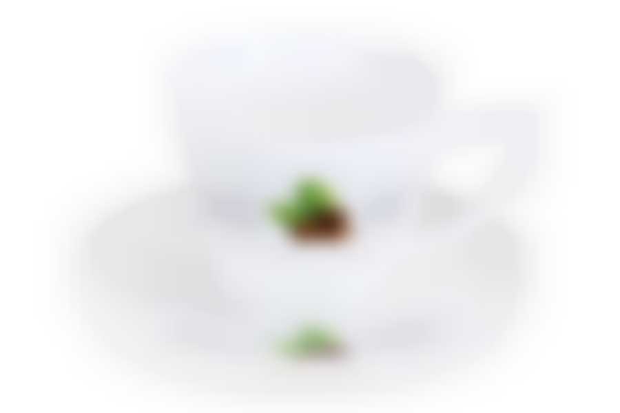 Пара кофейная 120 мл Home made