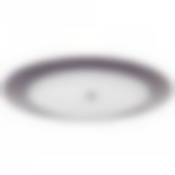 Тарелка обеденная БРОДЕРИ 26см