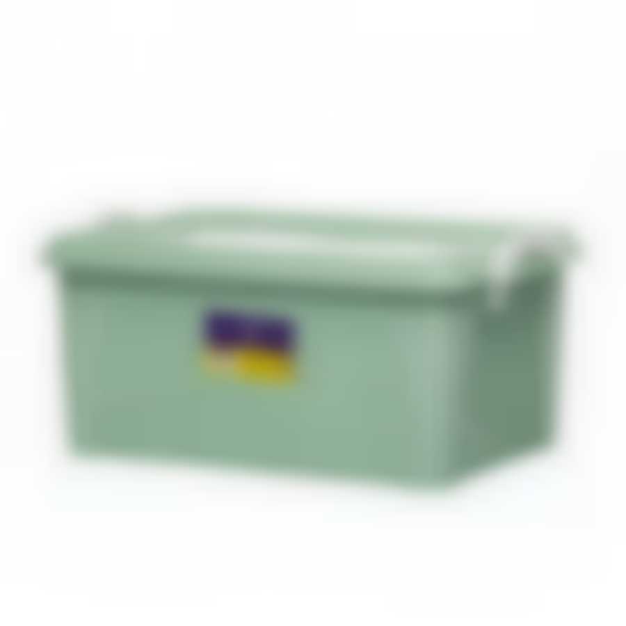 Цветной контейнер для хранения 5,5л