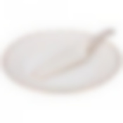 Тортовница с лопаткой диаметр=25 см