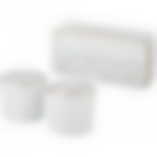 Набор для специй 2 пр + салфетница Фабьен