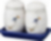 Набор для специй 2 пр. Чешский гусь 11*7*8 см