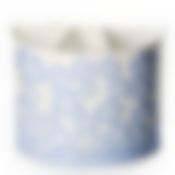 Подставка для зубных щеток "Камелия" (цвет белый с голубым)