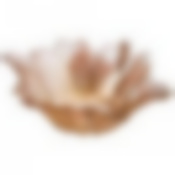 ВАЗОЧКА/САЛАТНИК "LUSTER BEAUTY" AMBER 1