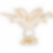 Блюдо на ножке white cristal Avorio giusy 30см высота 18 см.