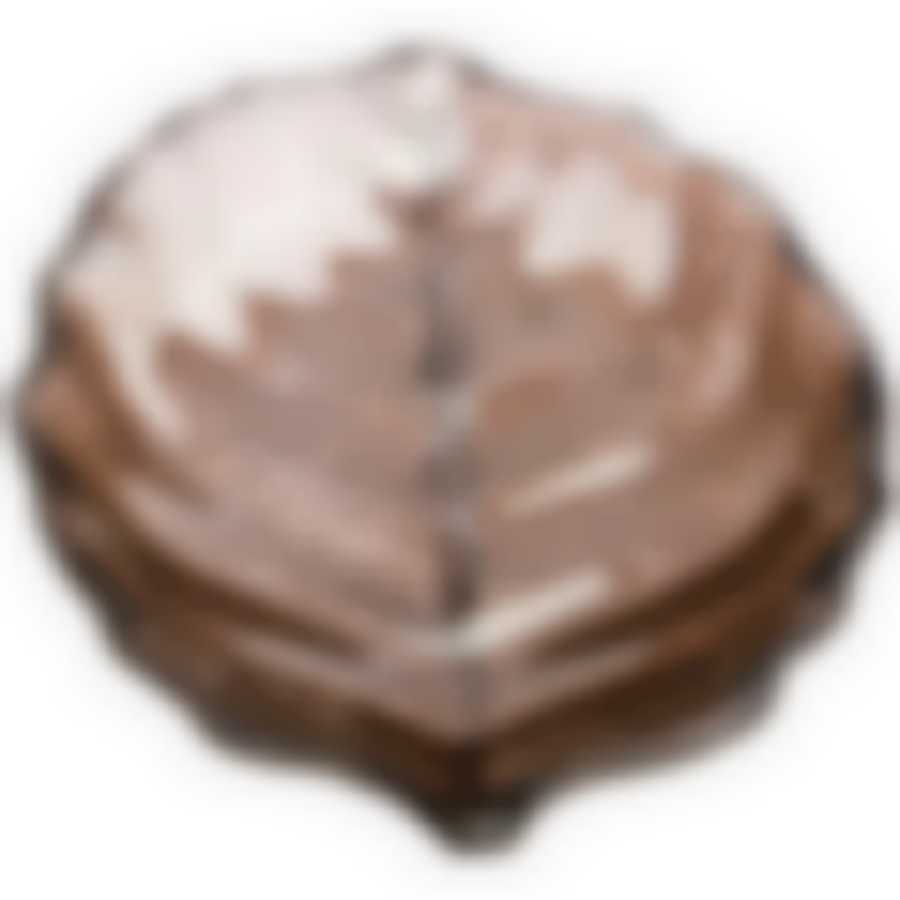 Блюдо Luster leaf fume 21см без упаковки 