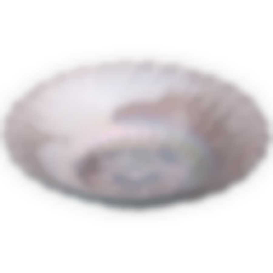 Блюдо Luster rainbow 20см без упаковки 