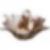 Вазочка/салатник Luster beauty fume 17см без упаковки 