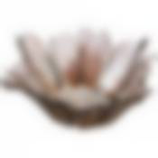 Блюдо глубокое/ваза для фруктов Luster beauty fume 24см без упаковки 