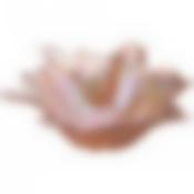 Вазочка/салатник Beauty peach 17см без упаковки 