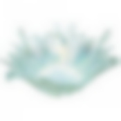 Блюдо глубокое/ваза для фруктов Beauty mint 28см без упаковки 