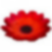 Блюдо Мак 30cm без упаковки 