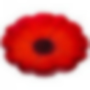 Тарелка Мак 21cm без упаковки 