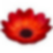 Салатник Мак 15cm без упаковки 