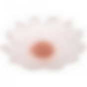 Блюдо Белый цветок 30cm без упаковки 