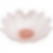 Салатник Белый цветок 15cm без упаковки 