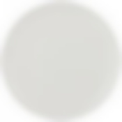 Тарелка закусочная Silk 20,5см 