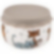 Банка с силиконовой крышкой Озорные коты 500мл 