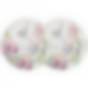 Набор тарелок обеденных lefard Iris 2 шт. 27 см 