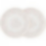 Набор тарелок закусочных lefard Emily 2шт. 20,5 см 