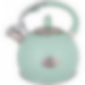 Чайник agness со свистком 3,0 л термоаккумулирующее дно, индукция