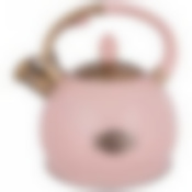 Чайник agness со свистком 3,0 л термоаккумулирующее дно, индукция