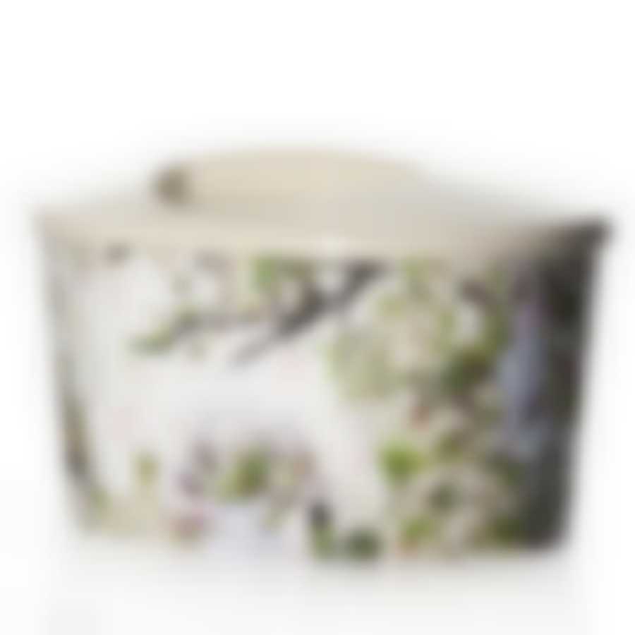 Контейнер (шкатулка) "Париж", овальный,160*250*165 мм (цвет в ассортименте)