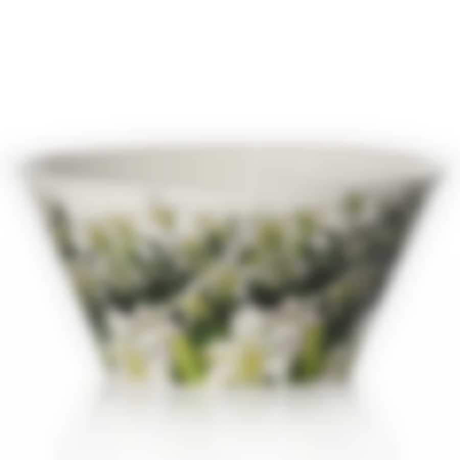 Чаша Альтернатива "Шарлотта", объем 1 л (цвет в ассортименте)