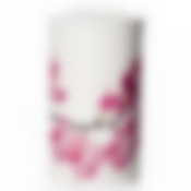 Банка для сыпучих продуктов ДЕКО (орхидея)