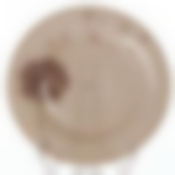 Тарелка обеденная СТЕЛЛА ШОКОЛАД, диаметр 25 см