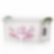 Контейнер "Клиер Ниш" глубокий, объем 3 л, 165 х 245 х 105 мм