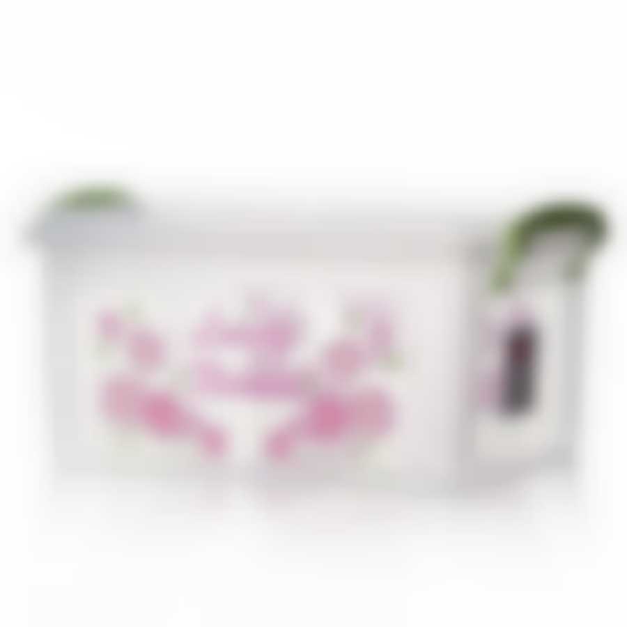 Контейнер "Клиер Ниш" глубокий, объем 3 л, 165 х 245 х 105 мм