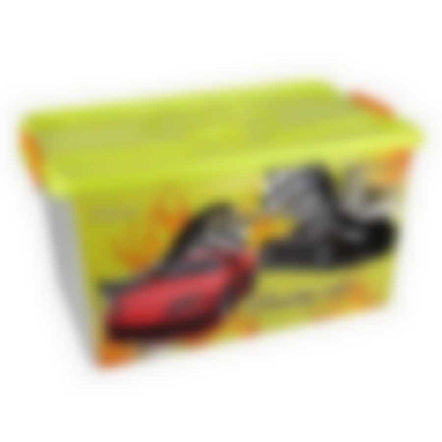 Контейнер "Формула-2" 40л с крышкой (цвет в ассортименте)