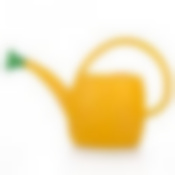 Лейка с рассеивателем, объем 2,5 л (цвет в ассортименте)