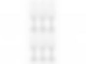 Набор бокалов для шампанского из 6 шт. "Amundsen / ardea" 220 мл. высота=26,5 см.