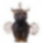 Статуэтка Сова 25*20*8 см.