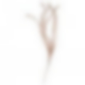 Ветка декоративная высота=115 см без упаковки