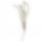 Ветка декоративная высота=115 см без упаковки