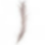 Ветка декоративная длина=85 см без упаковки