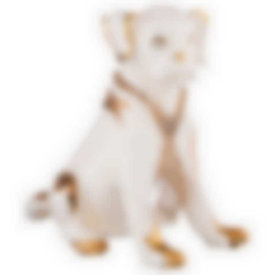 Статуэтка Собака с галстуком 25*15см, высота=24см