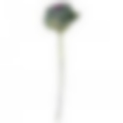 Цветок искусственный длина=40 см. без упаковки