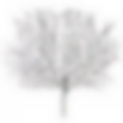 Изделие декоративное Черный корал длина=72 см