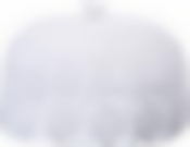 Крышка белая диаметр=25 см ,высота=16 см без упаковки